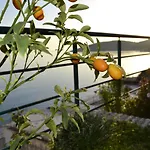Panorma